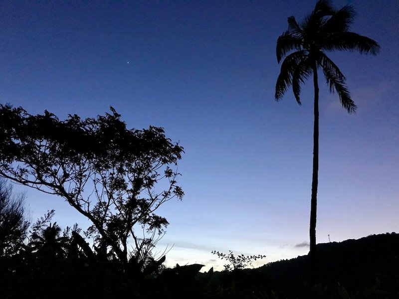 'Metamorphosis of the Blue Period: It Began in Black' | blog article reflecting on major life changes