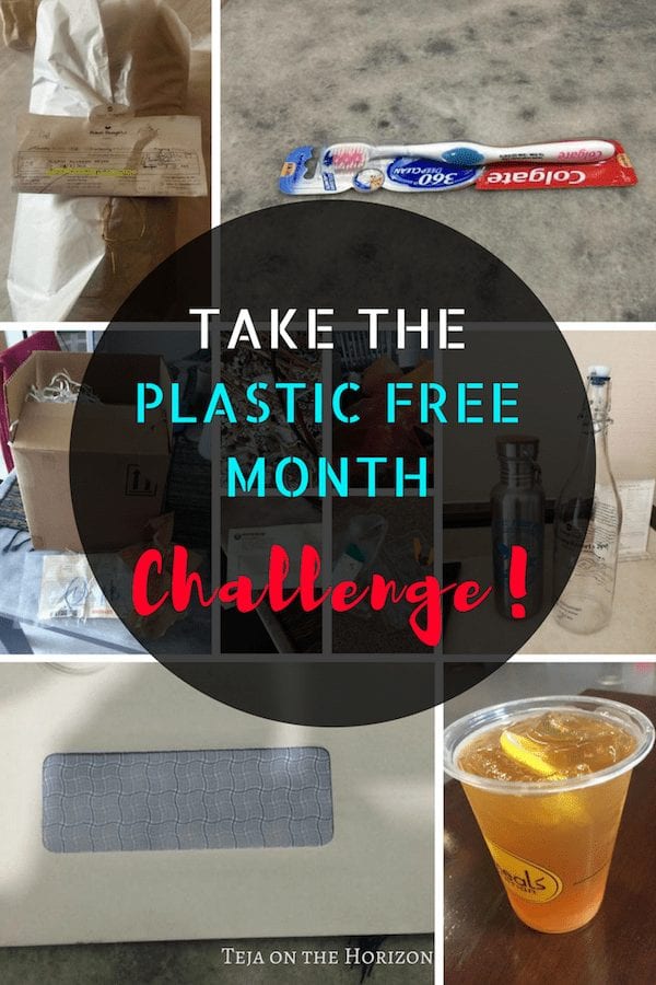 plastic free april challenge | zero waste challenge | no plastic July | zero waste | Teja on the Horizon