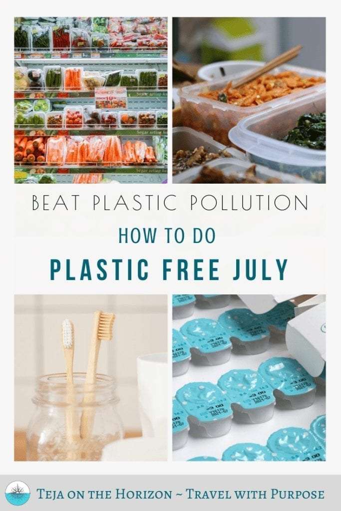 Pin image for blog review of undertaking Plastic Free July in April in 2016