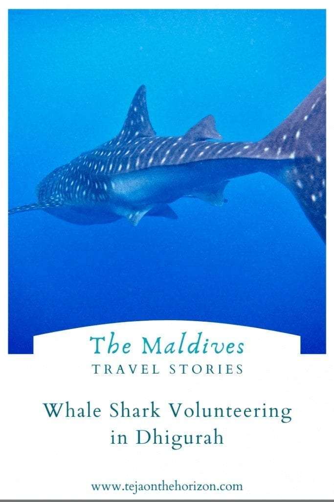 Whale Shark Conservation: The Women I Met in Dhigurah travel story on the blog Teja on the Horizon