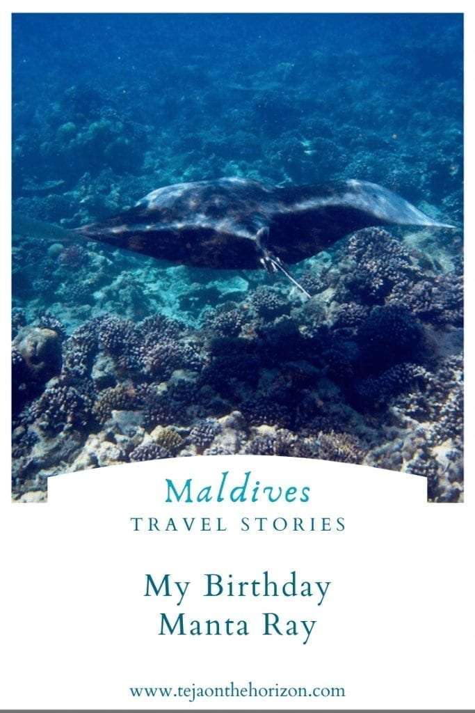 The Year I Was Sent A Manta Ray For My Birthday snorkelling story on travel blog Teja on the Horizon