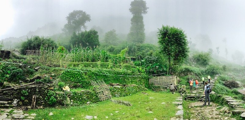 Annapurna in the Monsoon Day 2: At the Brink of Fog and Cloud | Ulleri to Ghorepani