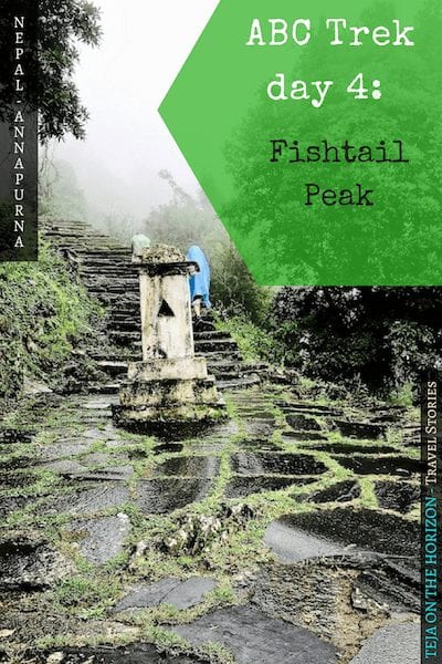 Annapurna in the Monsoon Day 4: Glimpses of Machapuchare peak | Fishtail mountain | Tadapani to Chomrong | Silvanesti forest | Lothlorien LOTR | Farming in Annapurna | Animals in Annapurna | Guesthouse internet in Annapurna | Cable bridges in Gurung territory | Nepal trekking | Annapurna Sanctuary trek | Asian female trekking | Teja on the Horizon