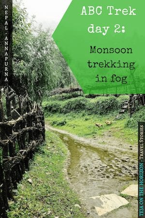 Annapurna in the Monsoon Day 2: At the Brink of Fog and Cloud | Ulleri to Ghorepani