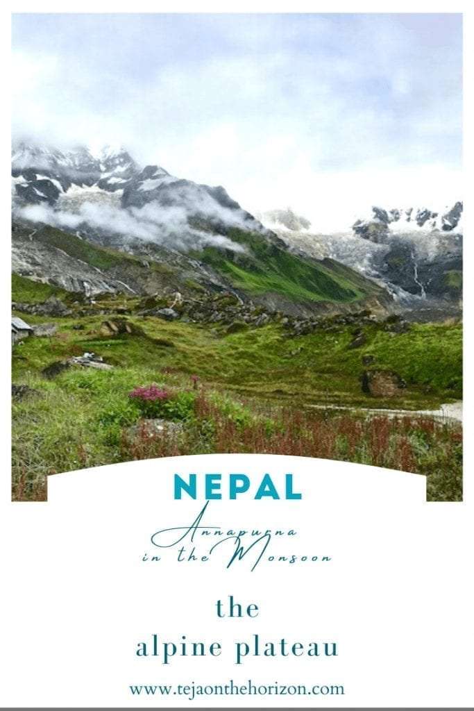 Annapurna in the Monsoon Day 8: Trekking Through the Summer Plateau