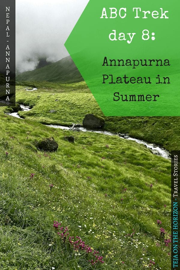 Annapurna in the Monsoon Day 8: Trekking Through the Summer Plateau
