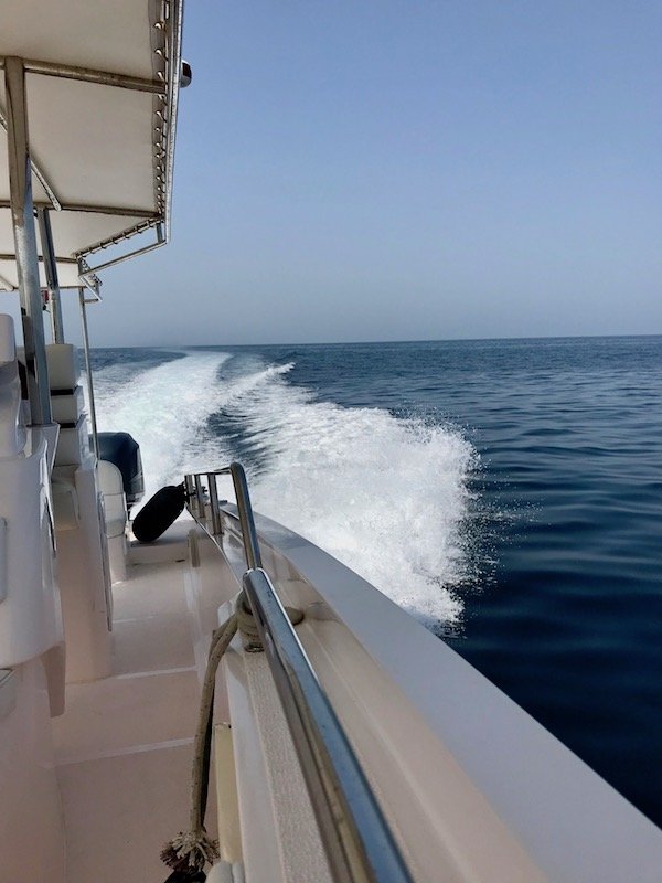 Wake from a motorised excursion boat