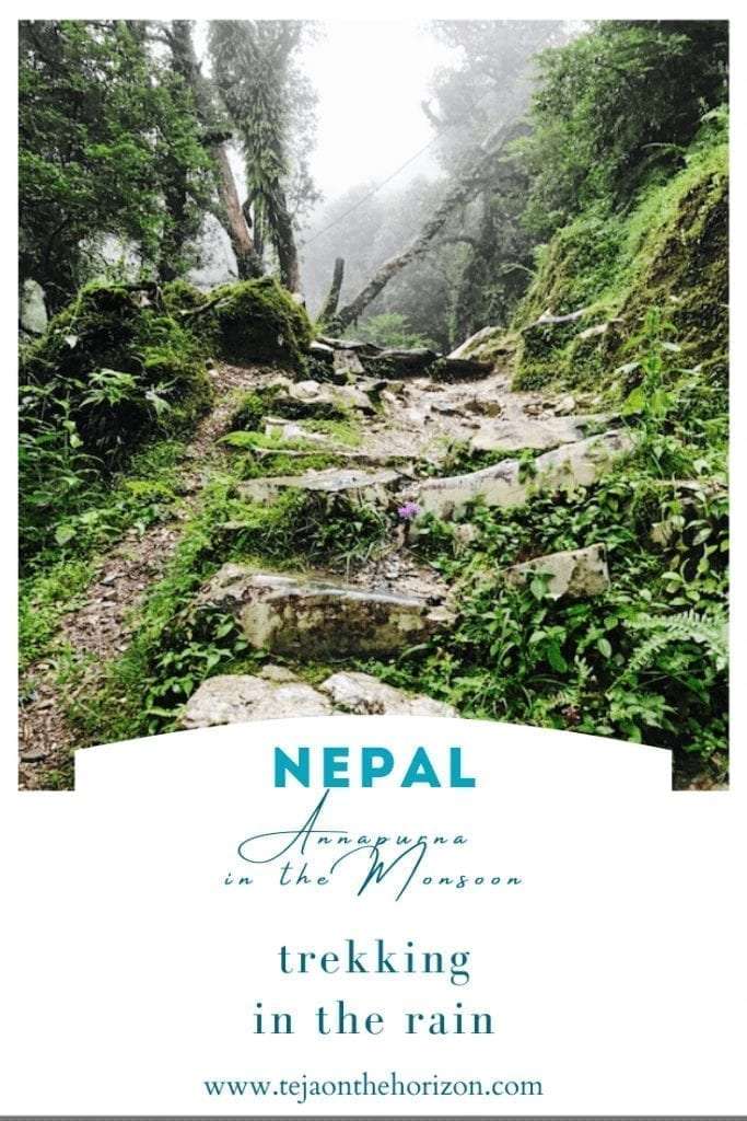 Annapurna in the Monsoon Day 2: At the Brink of Fog and Cloud | Ulleri to Ghorepani