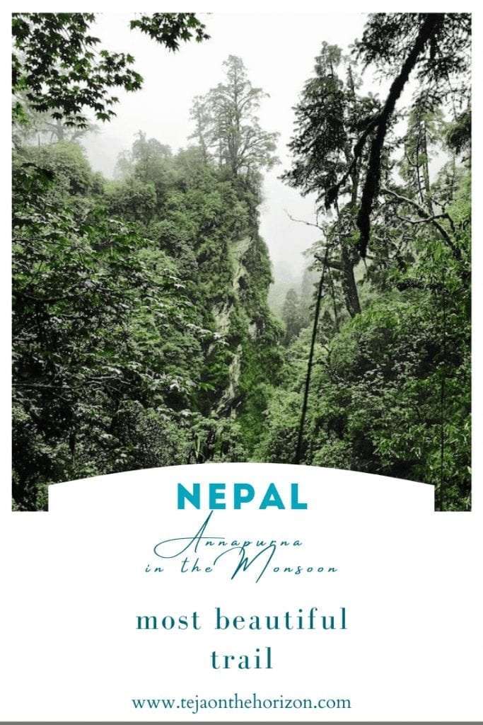 Ghorepani to Tadapani forest view