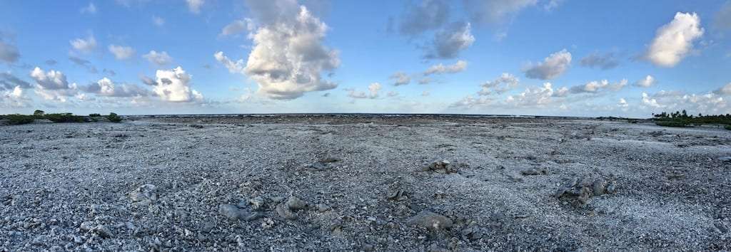 Looking across hard cemented coralline reef flat on a motu in Rangiroa