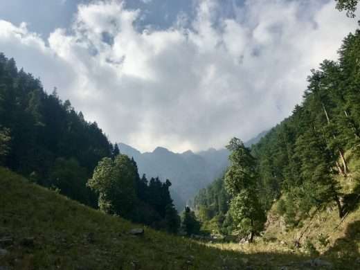 View down a mountain through the opening between two opposing slopes. The foreground is in shade, contrasting with the sunlit conifers on the right slope. Beyond are forested Kashmiri mountains beneath thick white cloud.