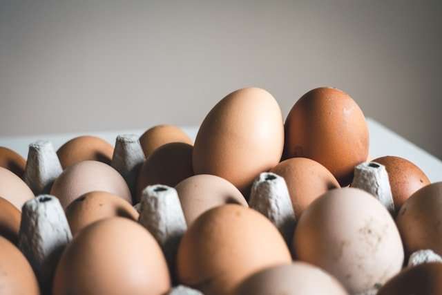 Eggs in carton tray